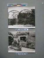 藏品(三蘇祠中之木假山)的圖片